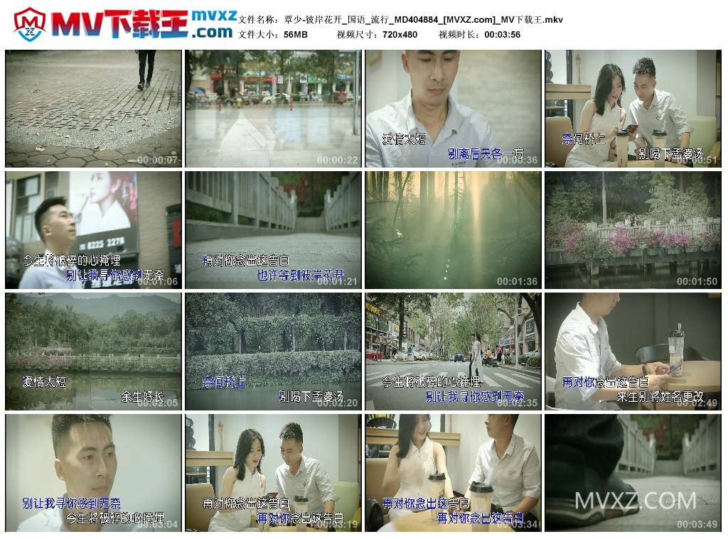 覃少-彼岸花开_国语_流行_MD404884